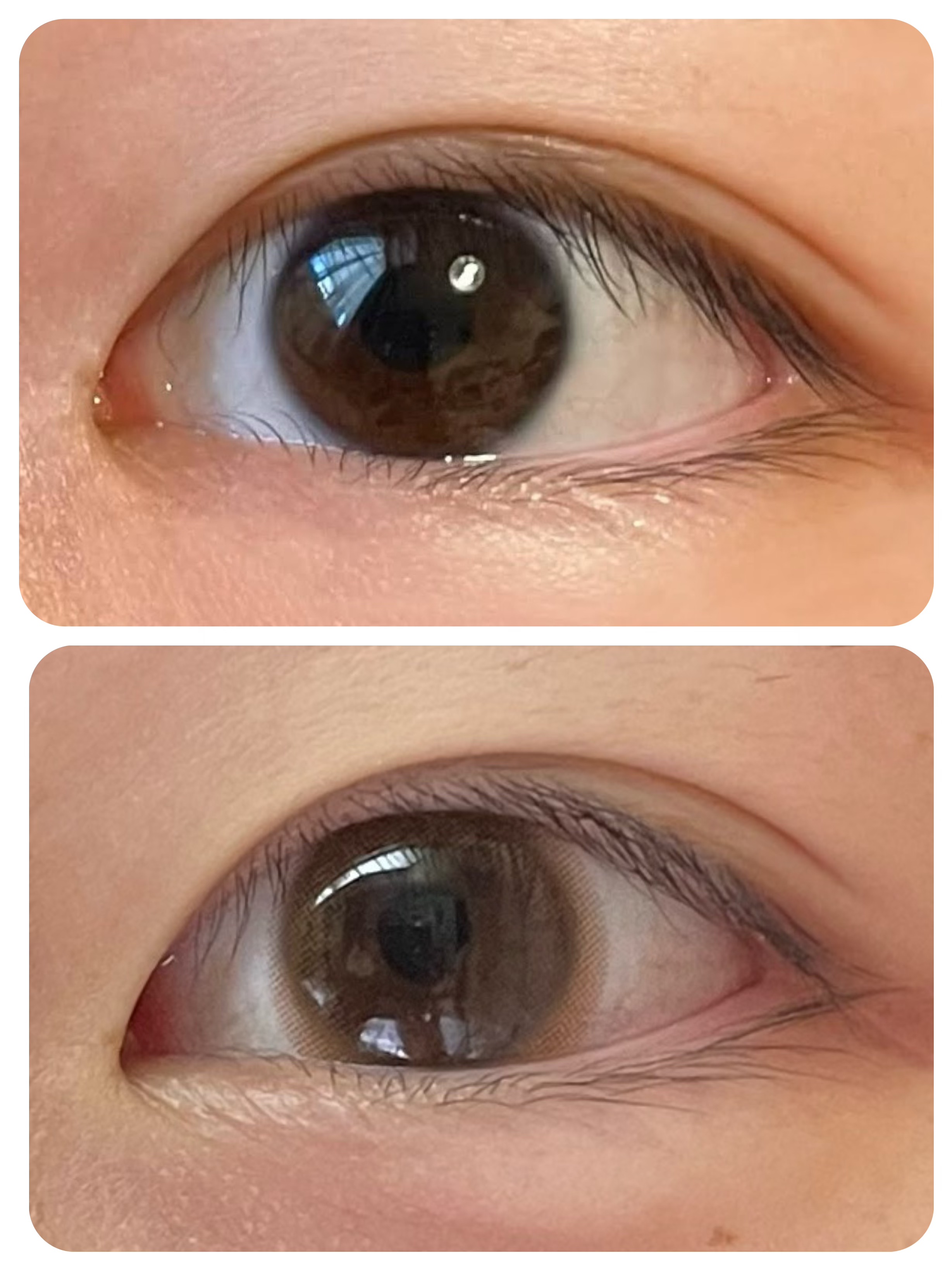 MOLAK 1day/MOLAK/ワンデー（１DAY）カラコンを使ったクチコミ（2枚目）