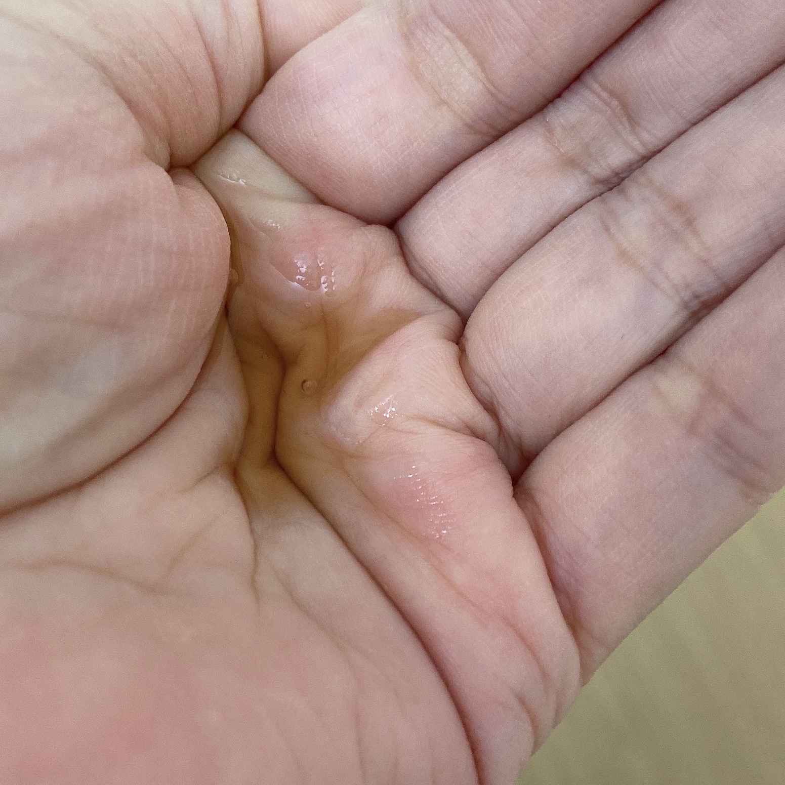 ブラックティー　ユース　トリートメント　エッセンス/innisfree/美容液を使ったクチコミ（2枚目）