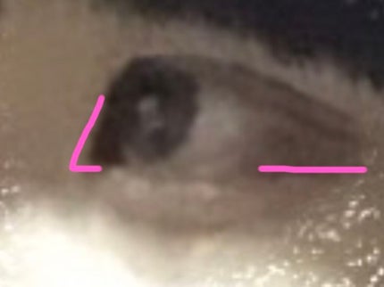 コンシャスライナーカラー/KATE/リキッドアイライナーを使ったクチコミ(3枚目)