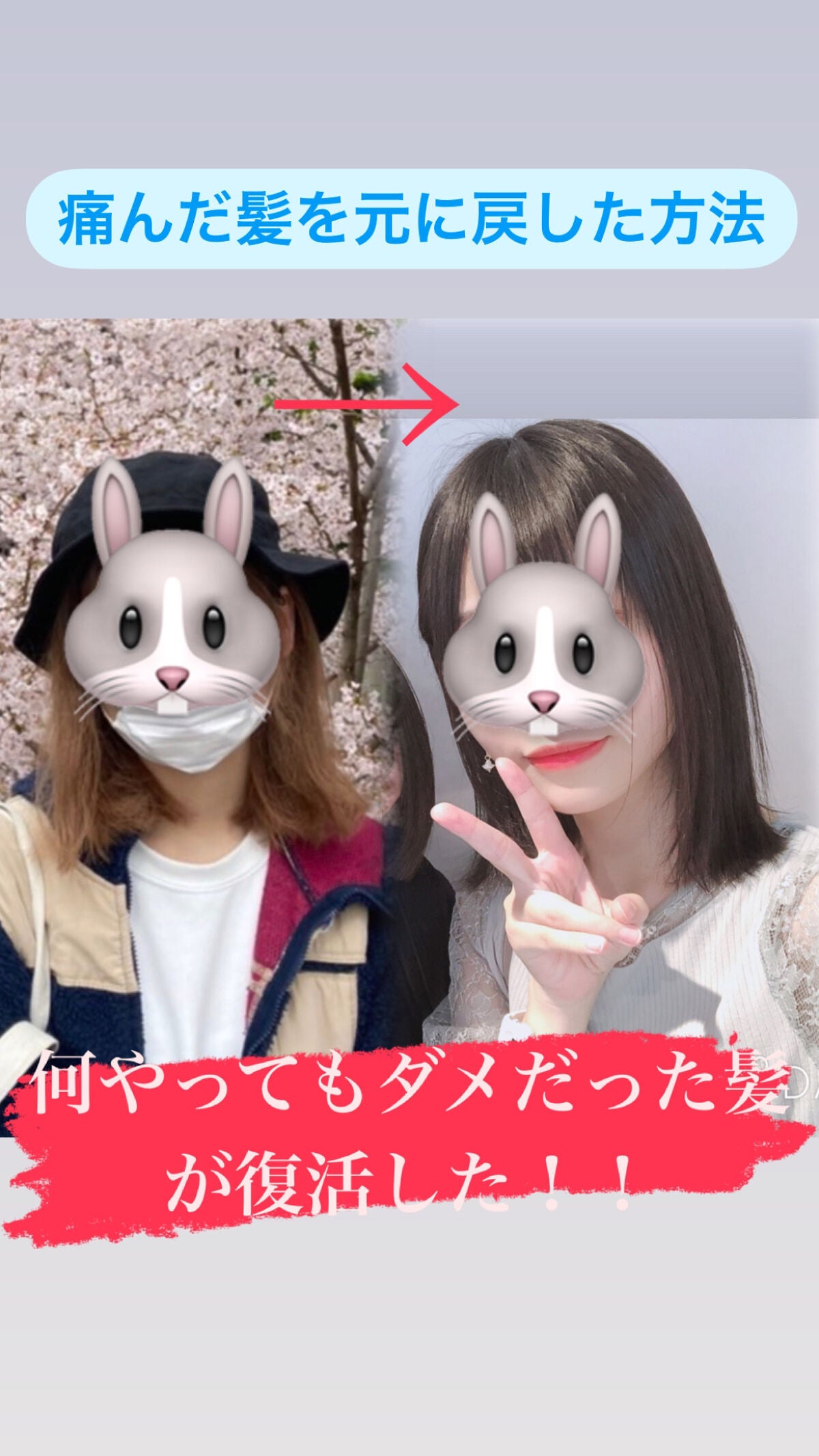 DHC 亜鉛/DHC/健康サプリメントを使ったクチコミ(1枚目)