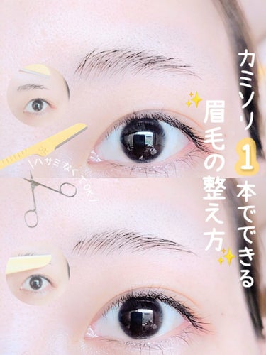 DAISO 一枚刃カミソリのクチコミ「最近発見した眉毛の整え方を紹介
 
私はズボラで眉を整えるときハサミ使ってカミソリ使ってという.....」（1枚目）