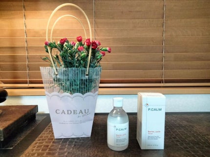 バリアサイクルトナー/P.CALM/化粧水を使ったクチコミ(1枚目)