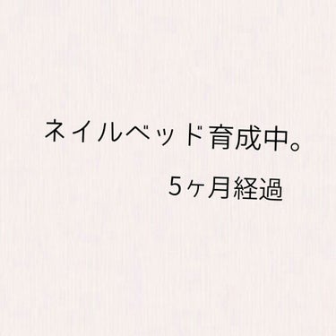 キューティクルオイル/ネイルホリック/ネイルオイル・トリートメントを使ったクチコミ（1枚目）