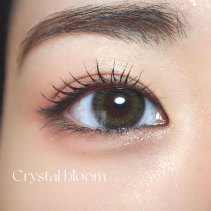 TOPARDS 1day/TOPARDS/ワンデー(1DAY)カラコンを使ったクチコミ(4枚目)