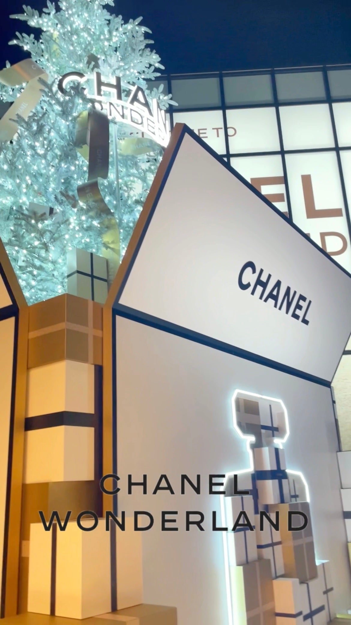 シャネル ルージュ ココ ボーム/CHANEL/口紅を使ったクチコミ(4枚目)