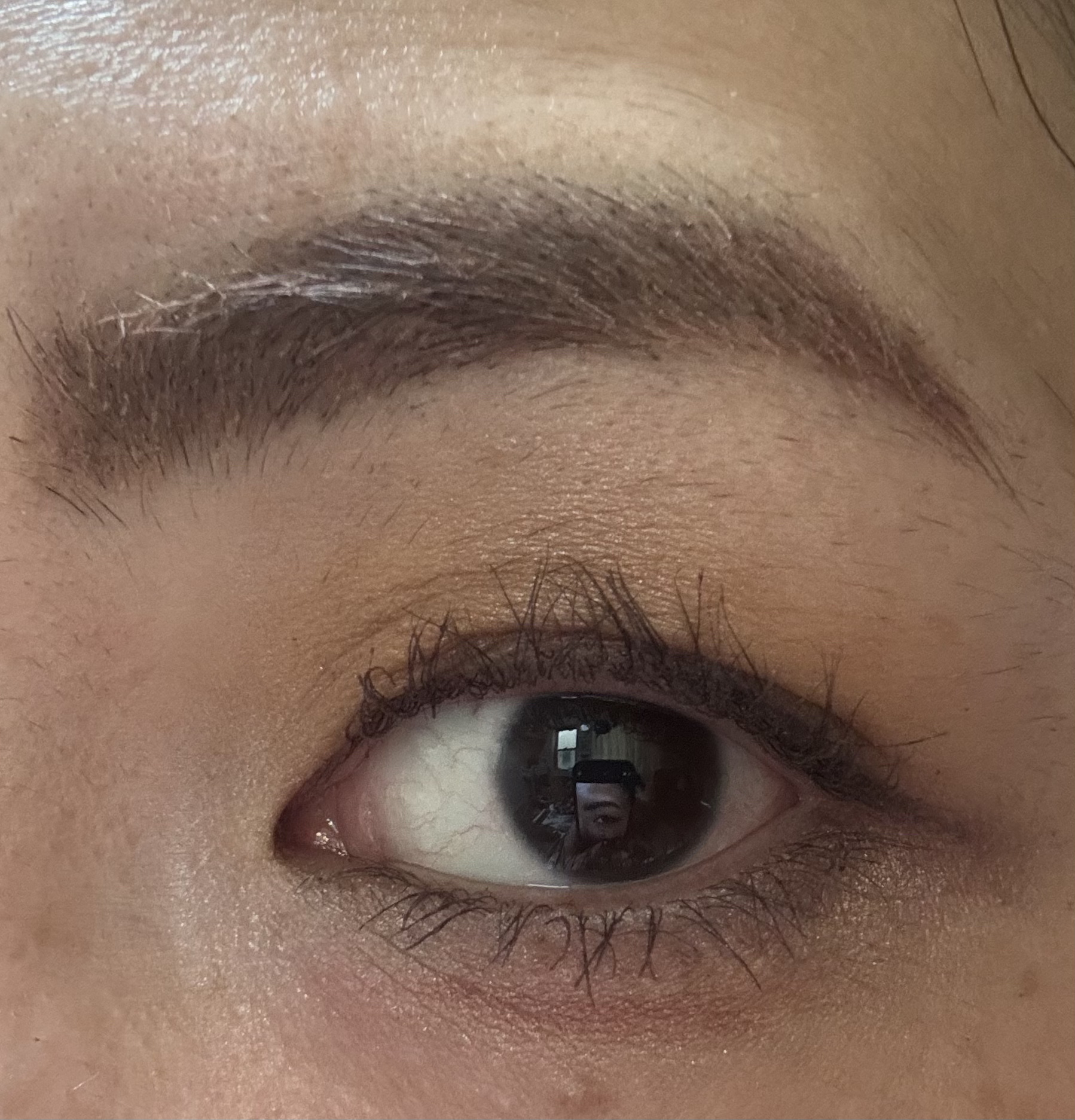 カールアメイジング マスカラ BR20/Elégance/マスカラを使ったクチコミ（2枚目）