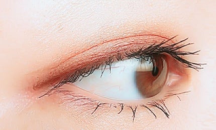 シングルカラーアイシャドウ/CEZANNE/単色アイシャドウを使ったクチコミ(2枚目)