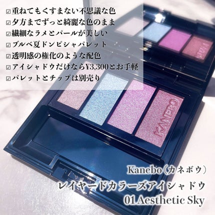 レイヤードカラーズアイシャドウ/KANEBO/アイシャドウパレットを使ったクチコミ(5枚目)