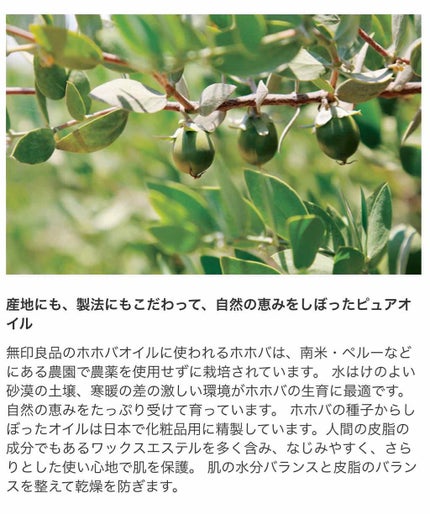 ホホバオイル/無印良品/ボディオイルを使ったクチコミ(2枚目)