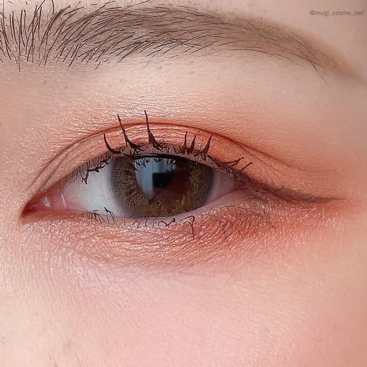 シルキースフレアイズ/キャンメイク/アイシャドウパレットを使ったクチコミ(5枚目)