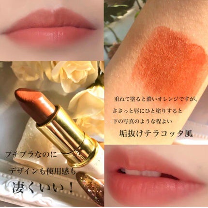 ラスティング リップカラーN 504 オレンジ系/CEZANNE/口紅を使ったクチコミ(2枚目)