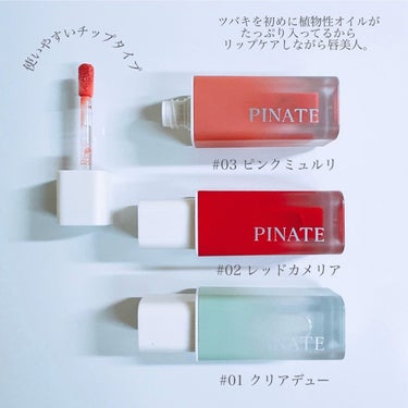 ナチュラルブルームリップオイルセラム 3色セット/PINATE/リップグロスを使ったクチコミ（3枚目）