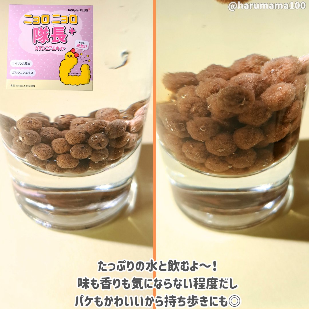 ニョロニョロ隊長+ ガルシニア+/In style Plus/健康サプリメントを使ったクチコミ（3枚目）