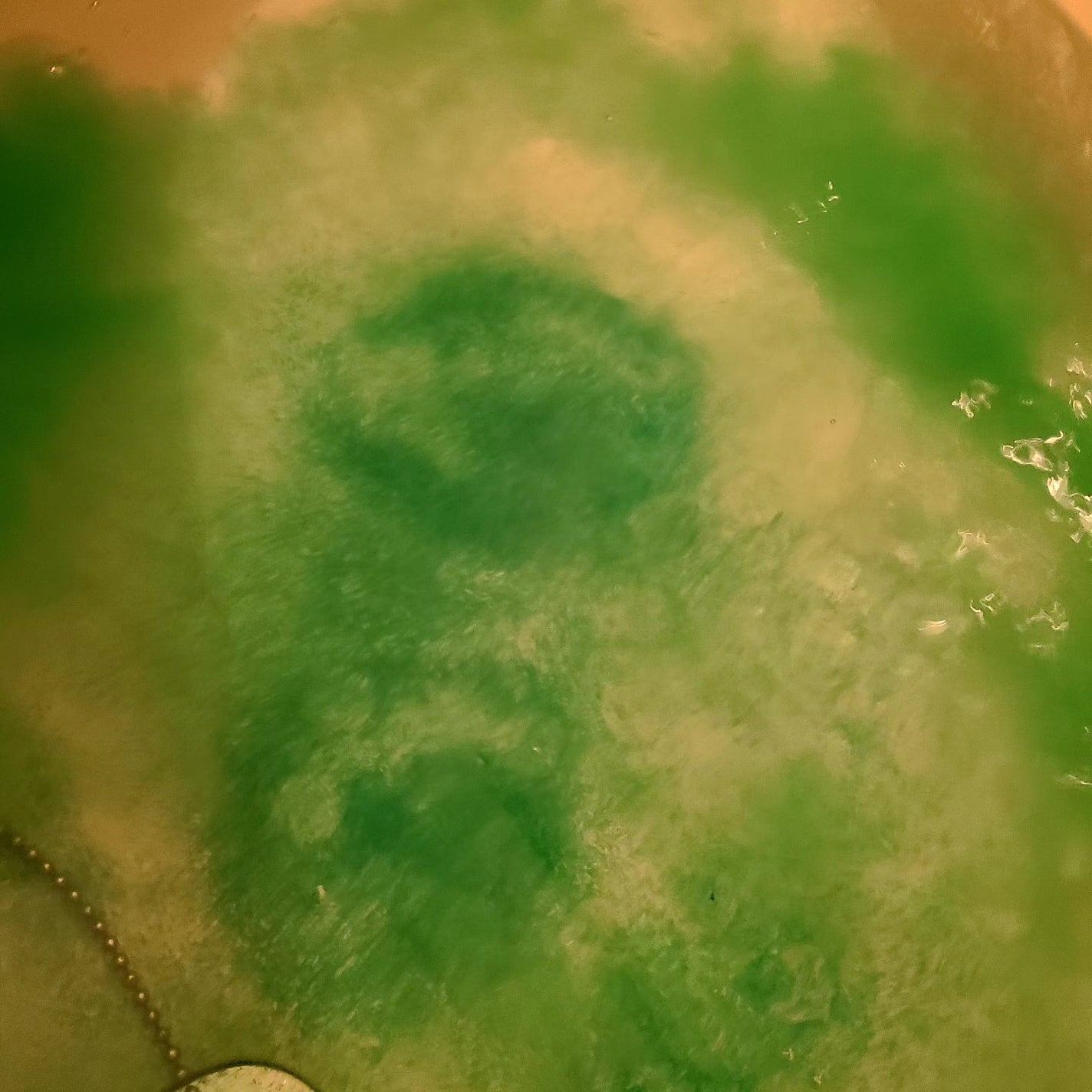 hahihomi★ on LIPS 「朝晩寒くなってきましたね!温かいお風呂に入りたくなるシーズン株..」(3枚目)