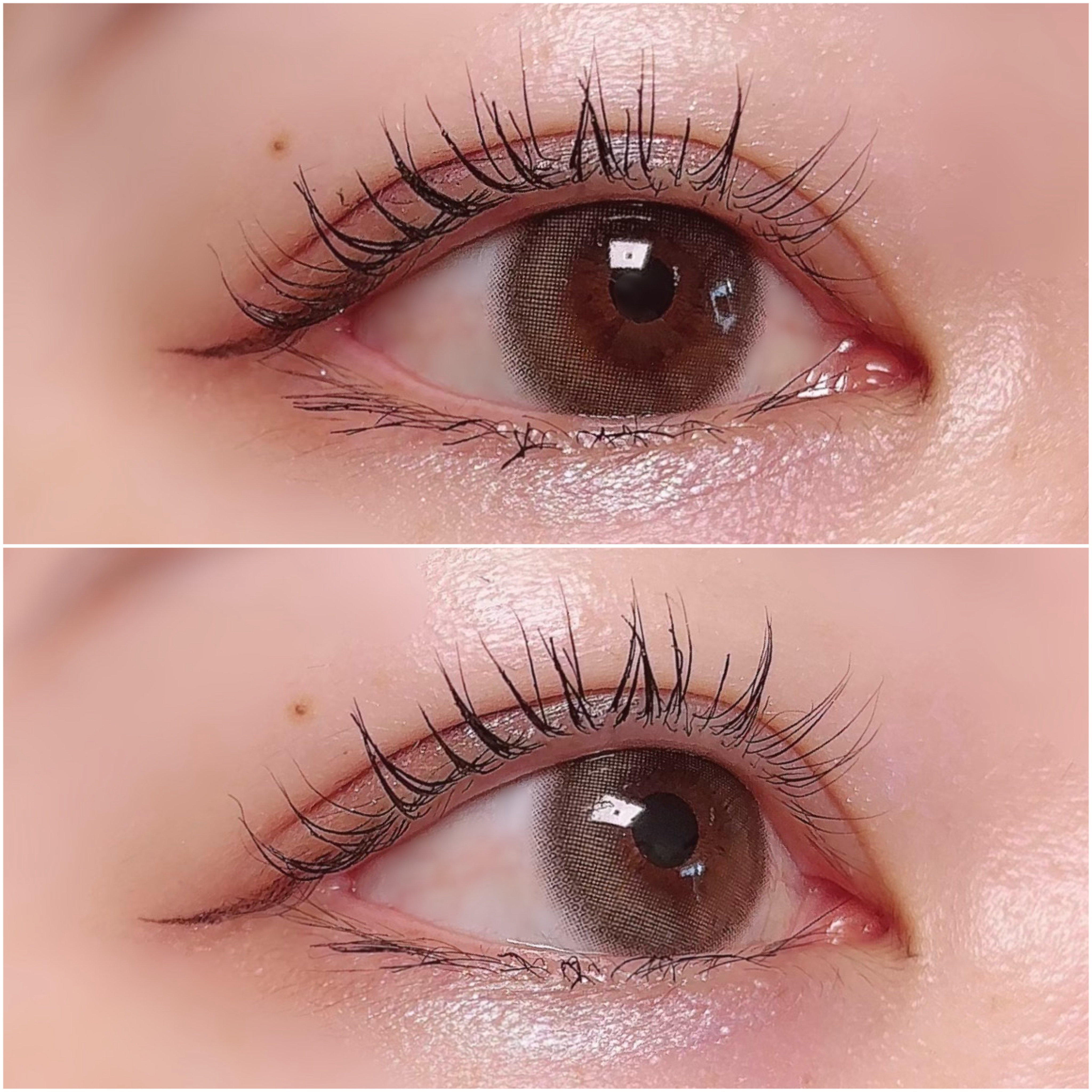 パリジェンヌラッシュリフトマスカラ/Paris./マスカラを使ったクチコミ（3枚目）