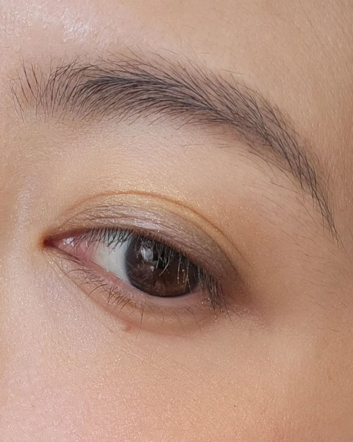 アディクション ザ マスカラ カラーニュアンス WP/ADDICTION/マスカラを使ったクチコミ(5枚目)