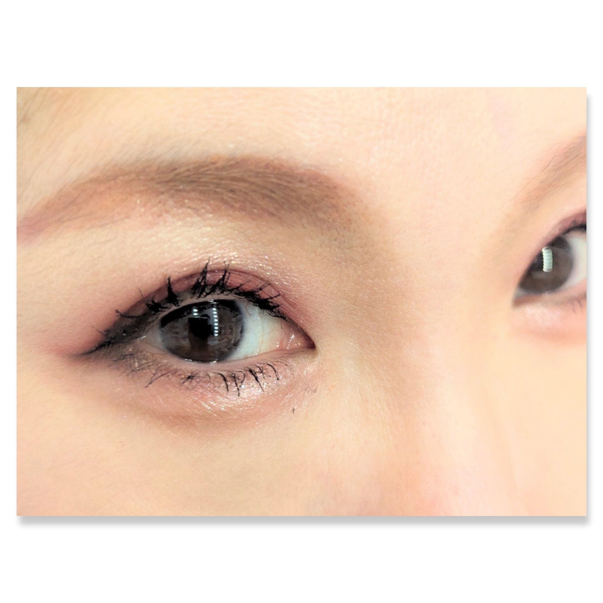 アニマルアイシャドウ(4シェード)/ZEESEA/アイシャドウパレットを使ったクチコミ（2枚目）