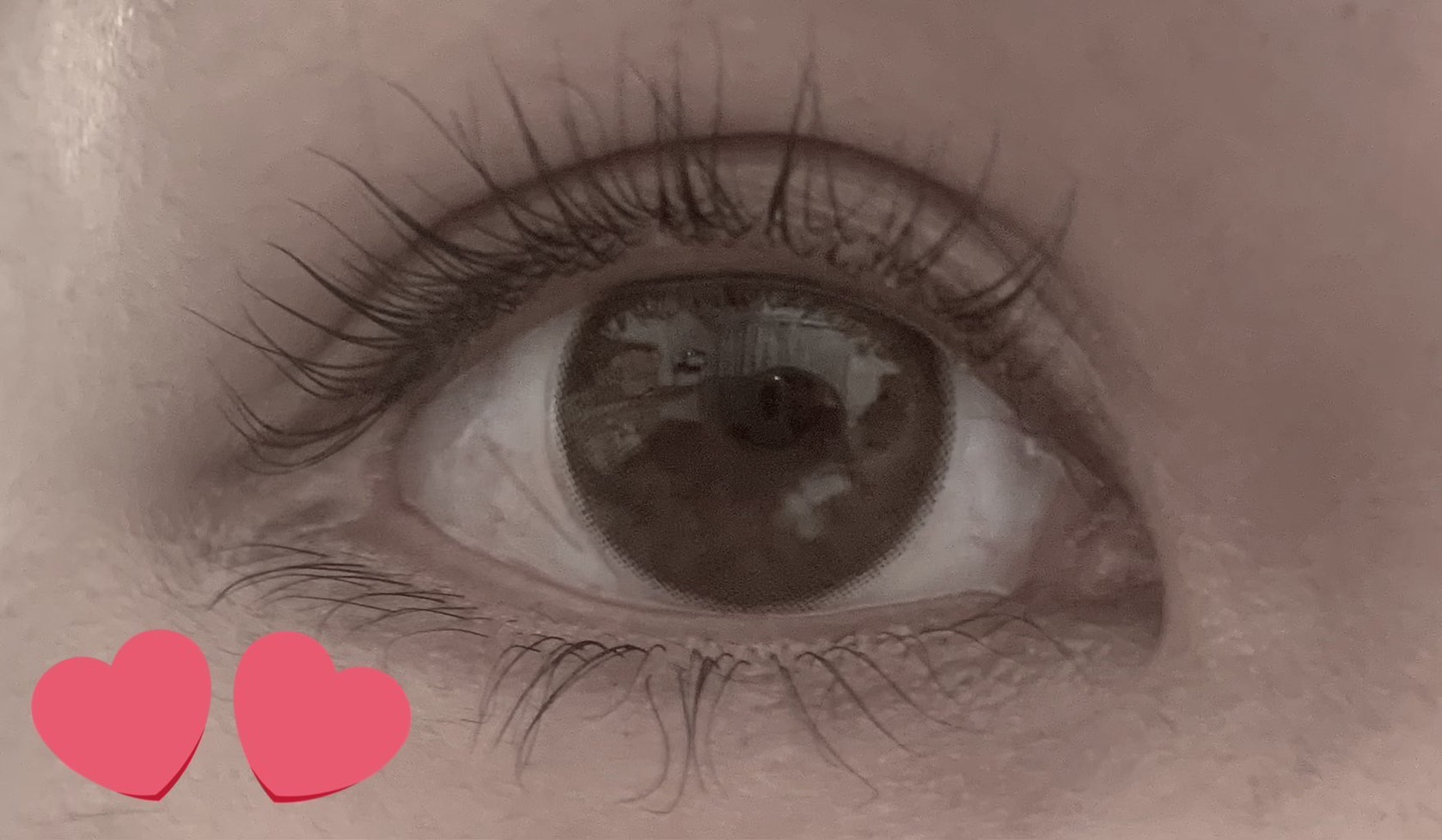 ラッシュアディクト アイラッシュコンディショニングセラム/soaddicted/まつげ美容液を使ったクチコミ（1枚目）