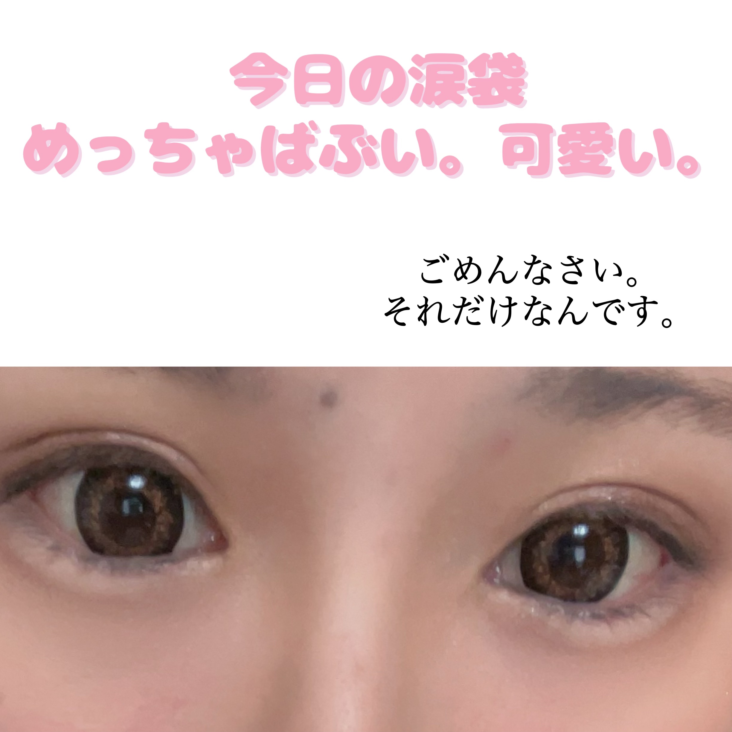 ディオール バックステージ アイ パレット/Dior/アイシャドウパレットを使ったクチコミ（1枚目）