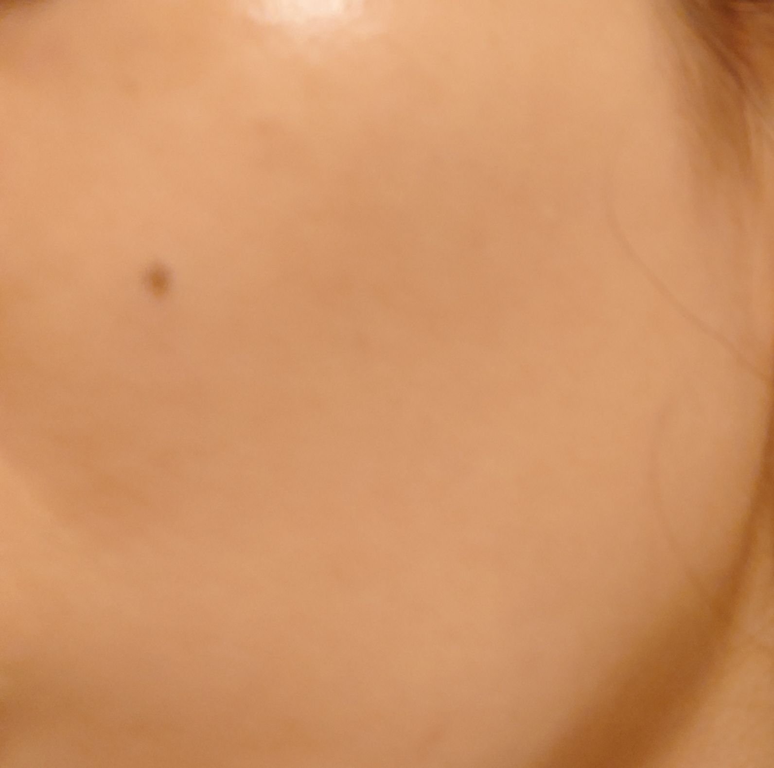 プレステージ ホワイト ル プロテクター ＵＶ ルミエール シアーグロー/Dior/化粧下地を使ったクチコミ（3枚目）