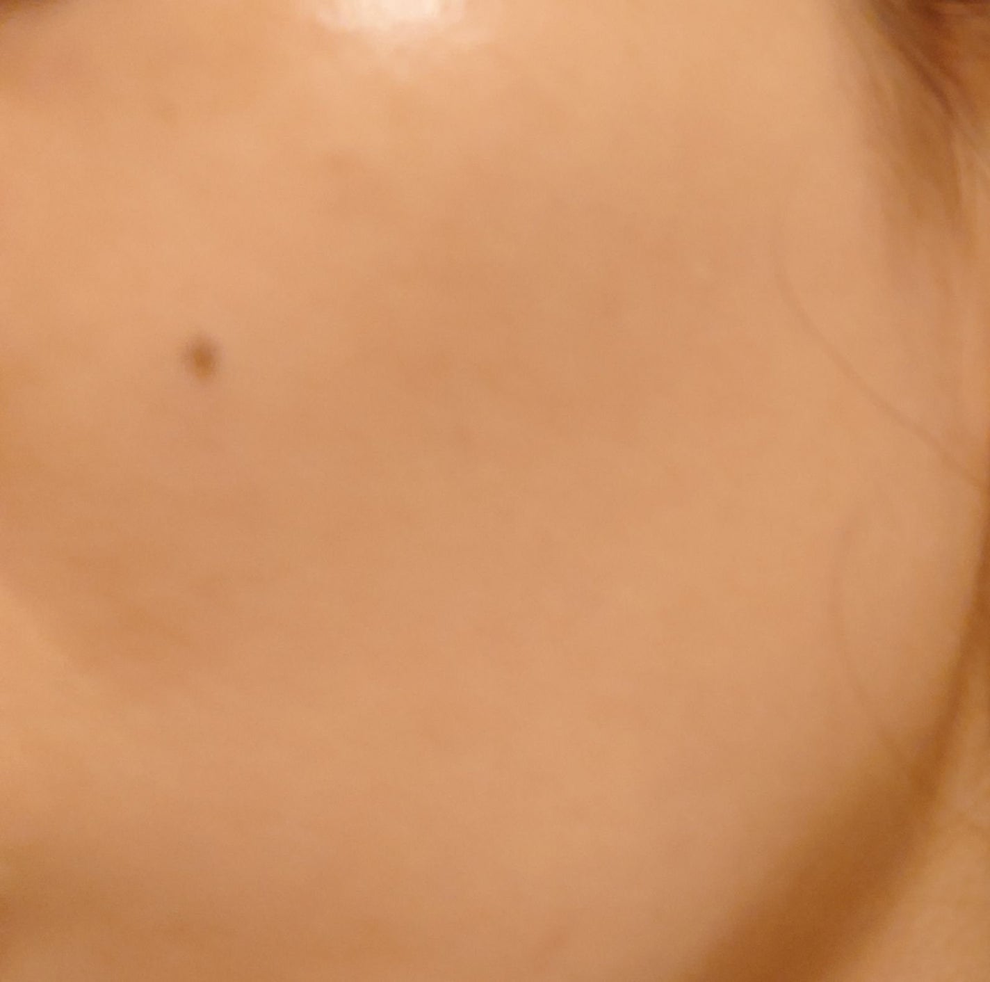 プレステージ ホワイト ル プロテクター UV ルミエール シアーグロー/Dior/化粧下地を使ったクチコミ(3枚目)