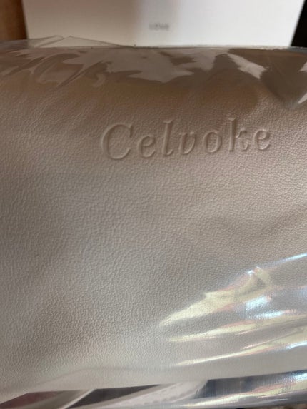 ディアレストピンクコレクション/Celvoke/メイクアップキットを使ったクチコミ(2枚目)