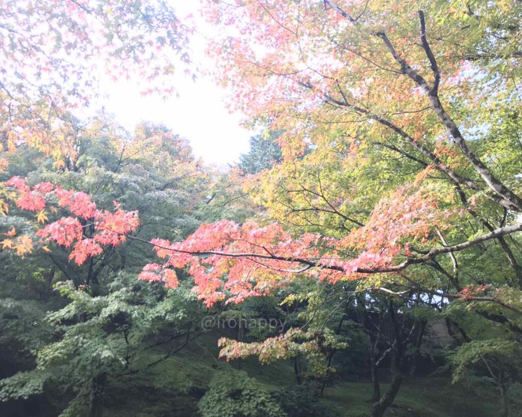 カラフルネイルズ/キャンメイク/マニキュアを使ったクチコミ（3枚目）