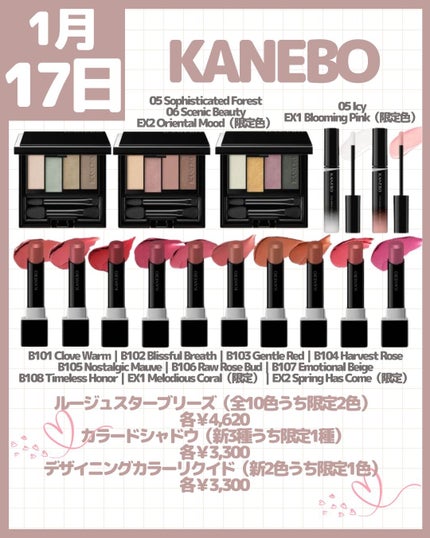 デザイニングカラーリクイド/KANEBO/リキッドコンシーラーを使ったクチコミ(6枚目)