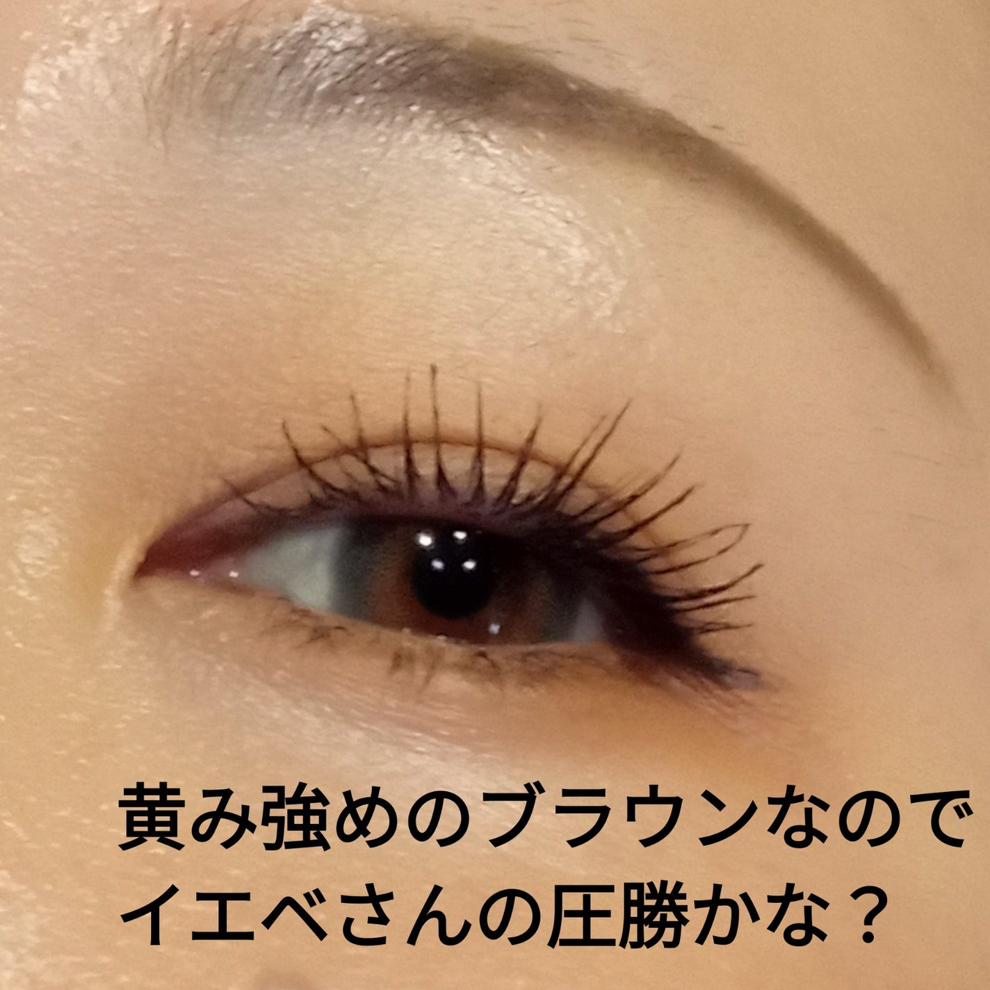 ビタートーンアイシャドウ/CEZANNE/パウダーアイシャドウを使ったクチコミ(2枚目)