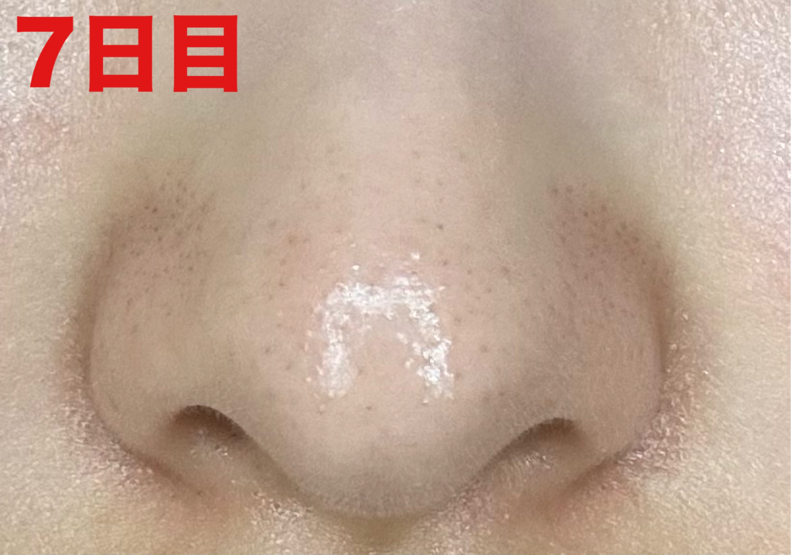 泥ジェル洗顔/ファンケル/その他洗顔料を使ったクチコミ（2枚目）