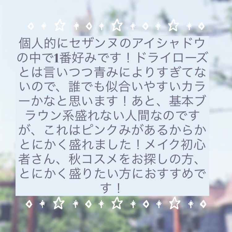 ビタートーンアイシャドウ/CEZANNE/パウダーアイシャドウを使ったクチコミ（3枚目）