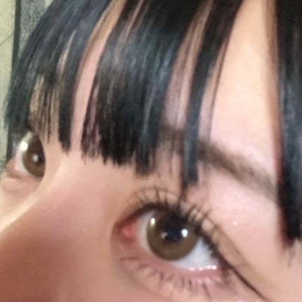 「塗るつけまつげ」ロングタイプ/デジャヴュ/マスカラを使ったクチコミ(1枚目)