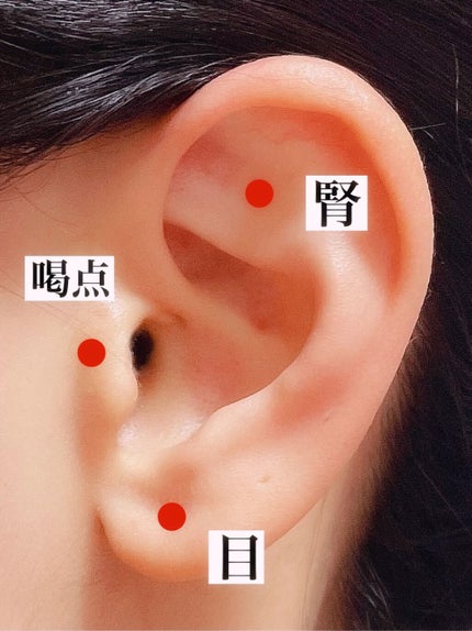 ãšã¯ã¹ãã©ã±ã¢ ã¢ãããã«ã¯/ãžã§ã³ãœã³ããã£ã±ã¢/ããã£ãã«ã¯ã䜿ã£ãã¯ãã³ãïŒ3æç®ïŒ