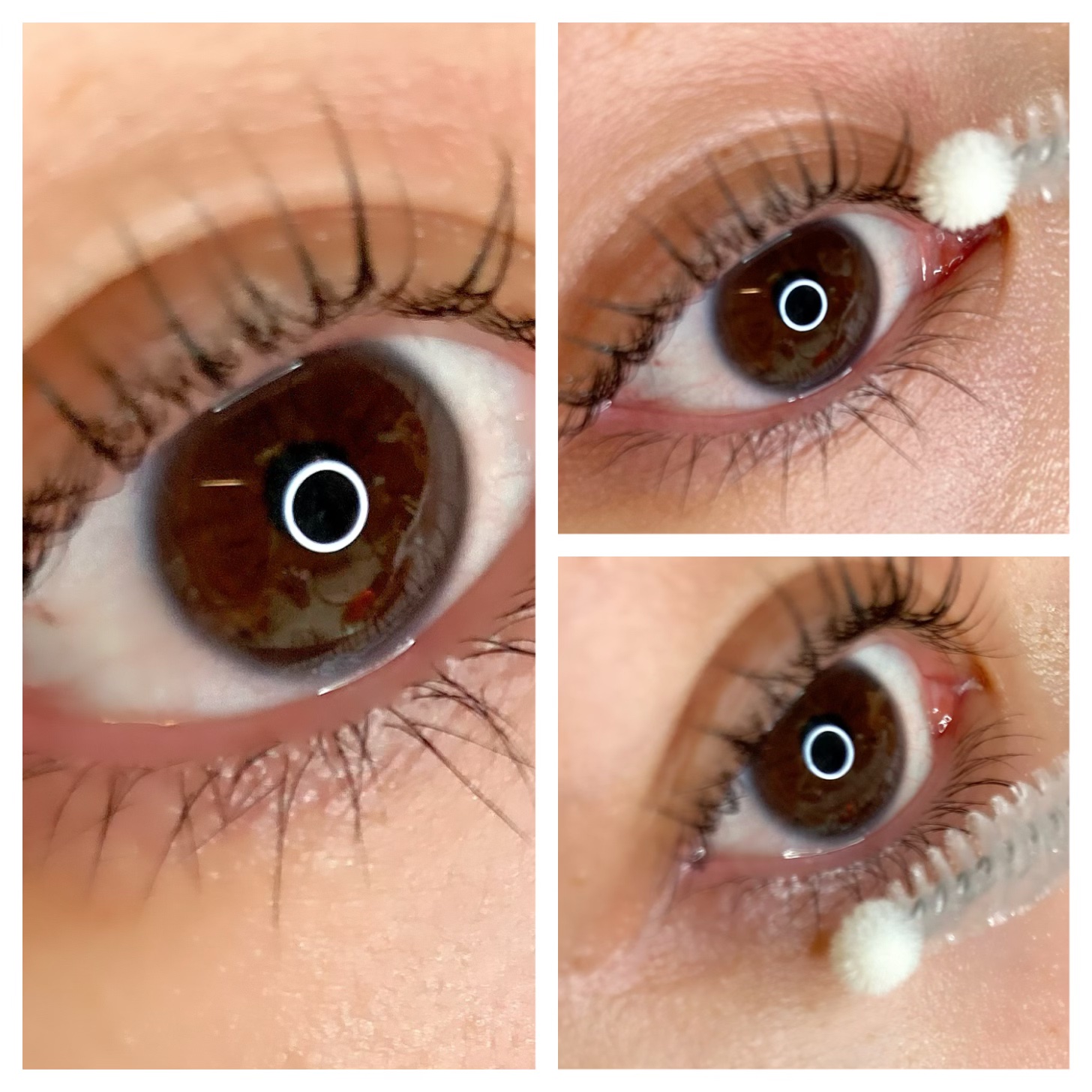 アイラッシュセラム/wonderfay/まつげ美容液を使ったクチコミ（1枚目）