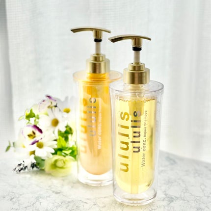 ãŠã©ãŒã¿ãŒã³ã³ã¯ ãªãã¢ã·ã£ã³ããŒ/ãã¢ããªãŒãã¡ã³ã/ululis/ã·ã£ã³ããŒã»ã³ã³ãã£ã·ã§ããŒã䜿ã£ãã¯ãã³ãïŒ1æç®ïŒ