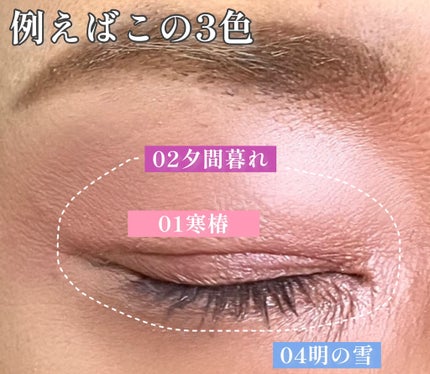 し・ほみん on LIPS 「周りはピコと言うけれど…ブルベにはこの5選 SHISEIDOオ..」(9枚目)