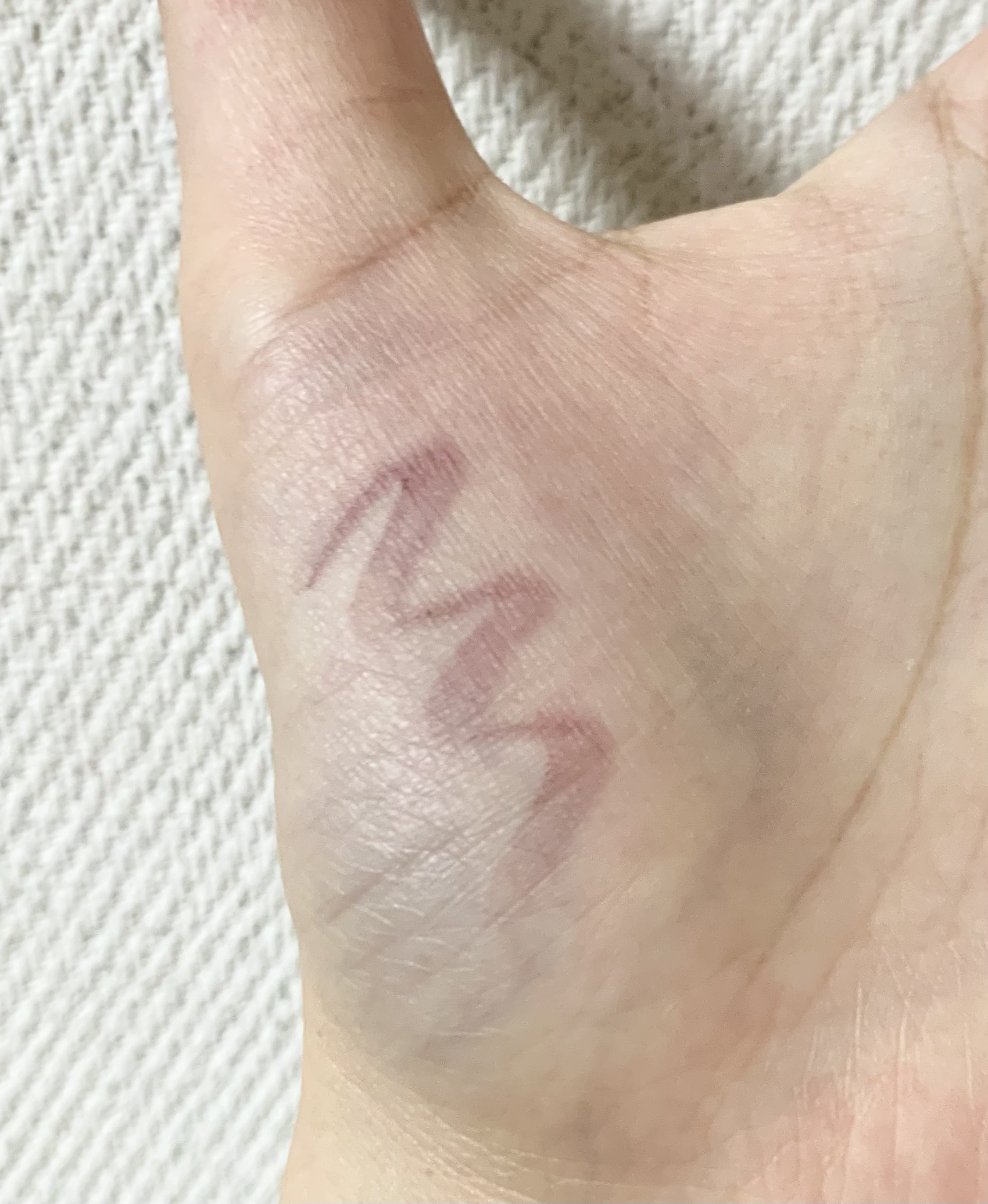 ファッションブロウ パウダーインペンシル N/MAYBELLINE NEW YORK/アイブロウペンシルを使ったクチコミ（3枚目）