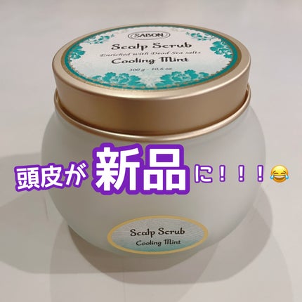 ヘッドスクラブ リフレッシング(ミント)/SABON/ヘッドスクラブを使ったクチコミ(1枚目)