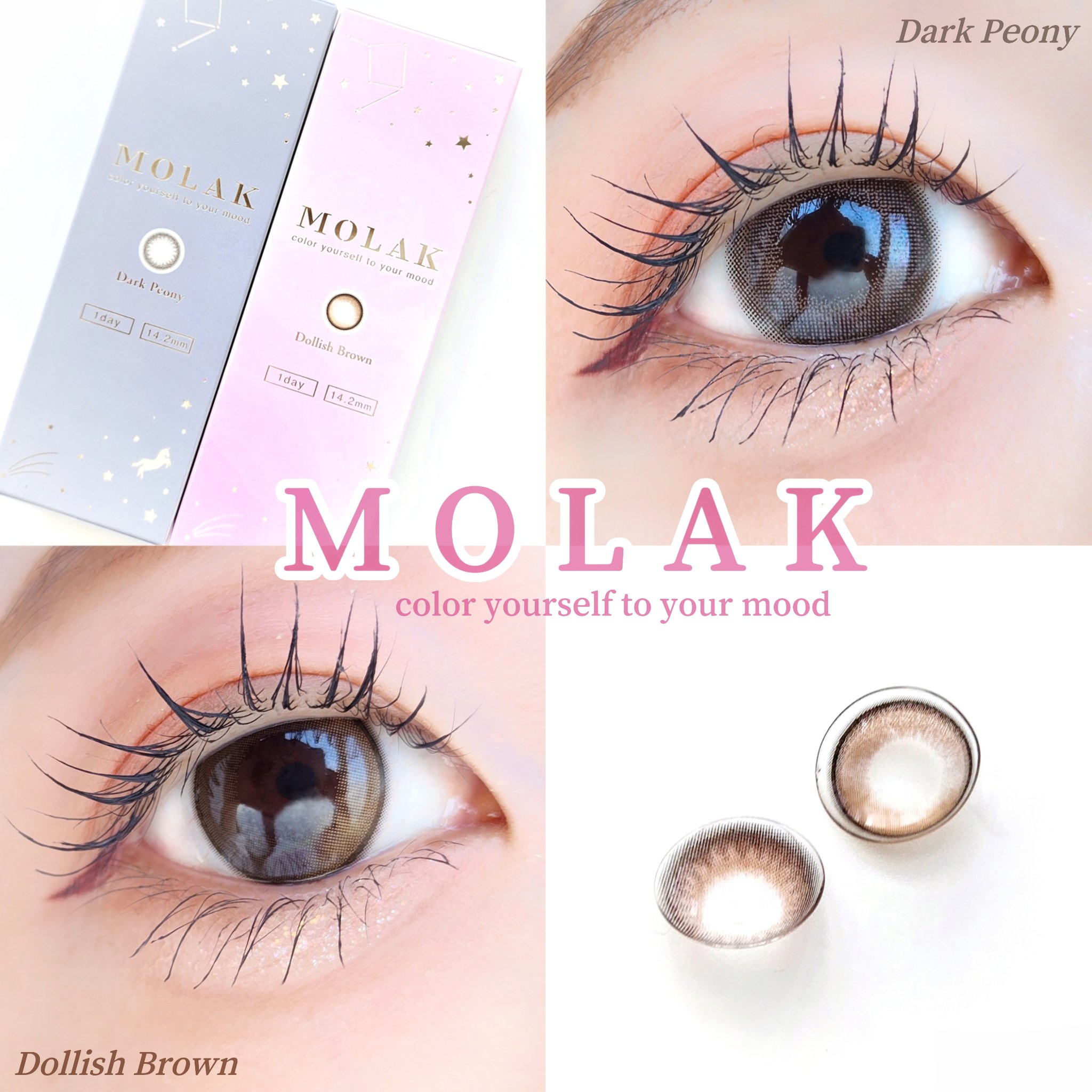 MOLAK 1day/MOLAK/ワンデー（１DAY）カラコンを使ったクチコミ（1枚目）