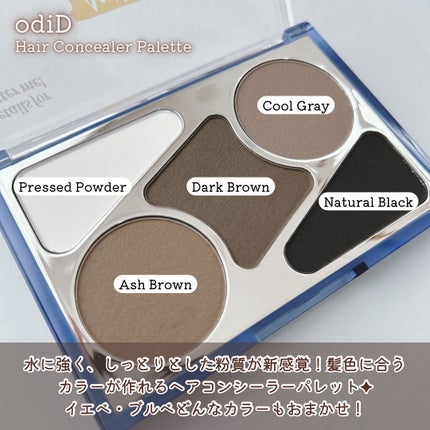 アーティストライン ヘアコンシーラーパレット/odiD/その他スタイリングを使ったクチコミ(2枚目)