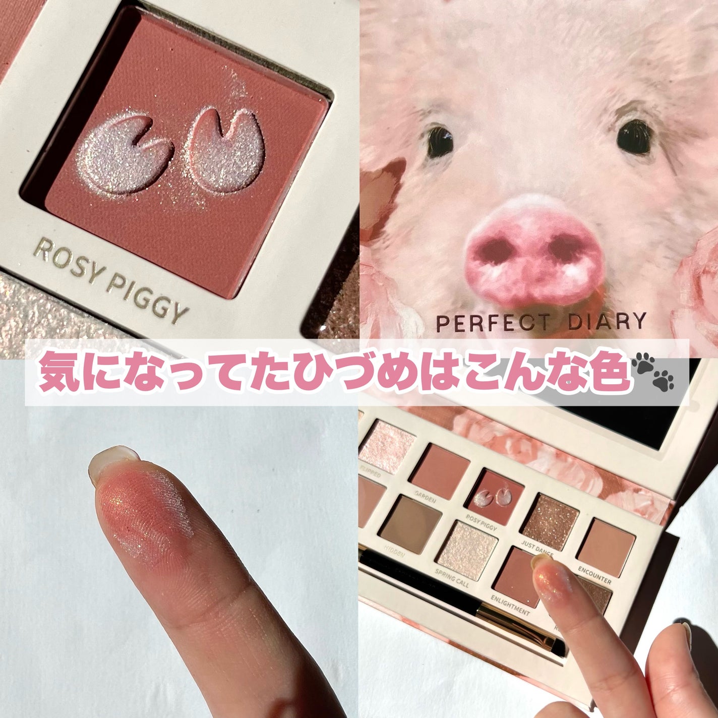 エクスプローラ12色 動物アイシャドウパレット/PERFECT DIARY/アイシャドウパレットを使ったクチコミ(5枚目)