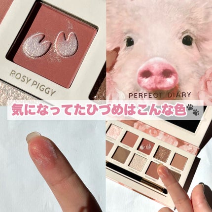 エクスプローラ12色 動物アイシャドウパレット/PERFECT DIARY/アイシャドウパレットを使ったクチコミ(5枚目)