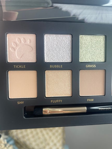 エクスプローラ12色 動物アイシャドウパレット/PERFECT DIARY/アイシャドウパレットを使ったクチコミ(5枚目)