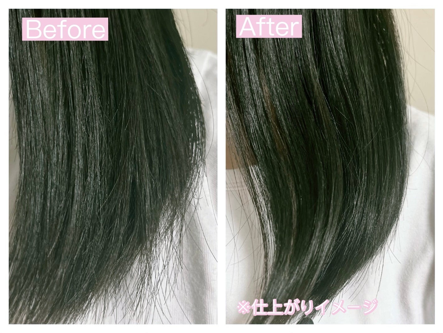 GLOSSY COAT SHAMPOO / TREATMENT/SANUS HAIR FILTER/市販シャンプーを使ったクチコミ(4枚目)