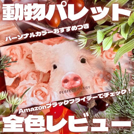 エクスプローラ12色 動物アイシャドウパレット/PERFECT DIARY/アイシャドウパレットを使ったクチコミ(1枚目)