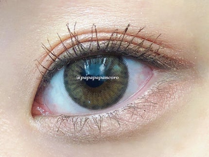 ワンピックアイシャドウパレット/APLIN/アイシャドウパレットを使ったクチコミ(6枚目)