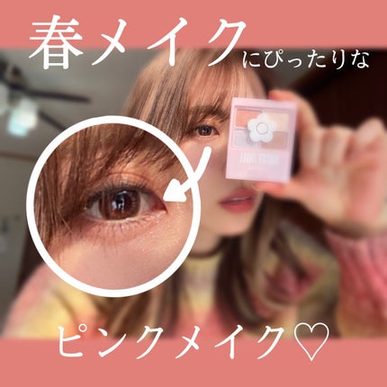 デイジードール アイカラー パレット/DAISY DOLL by MARY QUANT/アイシャドウパレットを使ったクチコミ(1枚目)