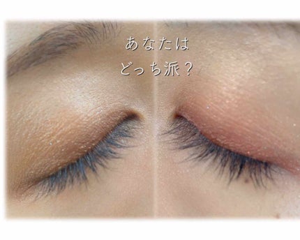 シルキースフレアイズ/キャンメイク/アイシャドウパレットを使ったクチコミ(2枚目)