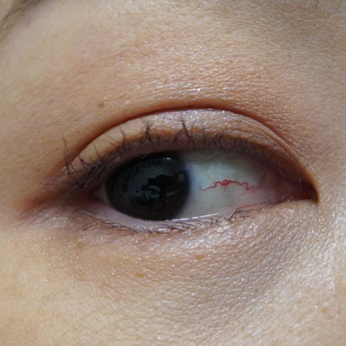 アイカラーレーション/LUNASOL/アイシャドウパレットを使ったクチコミ（2枚目）