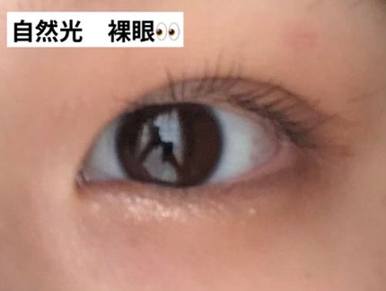 TOPARDS 1day/TOPARDS/ワンデー(1DAY)カラコンを使ったクチコミ(3枚目)